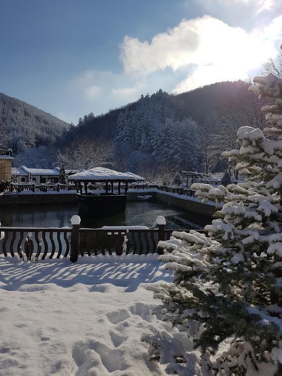 Guest House Pekliuk Gulubovtsi 外观 照片
