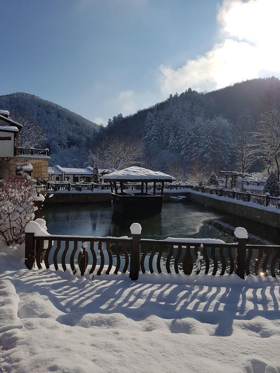 Guest House Pekliuk Gulubovtsi 外观 照片